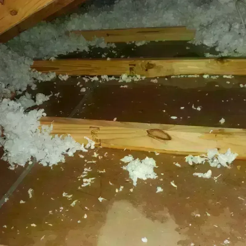 Attic Water Damage in Sharpsville, PA