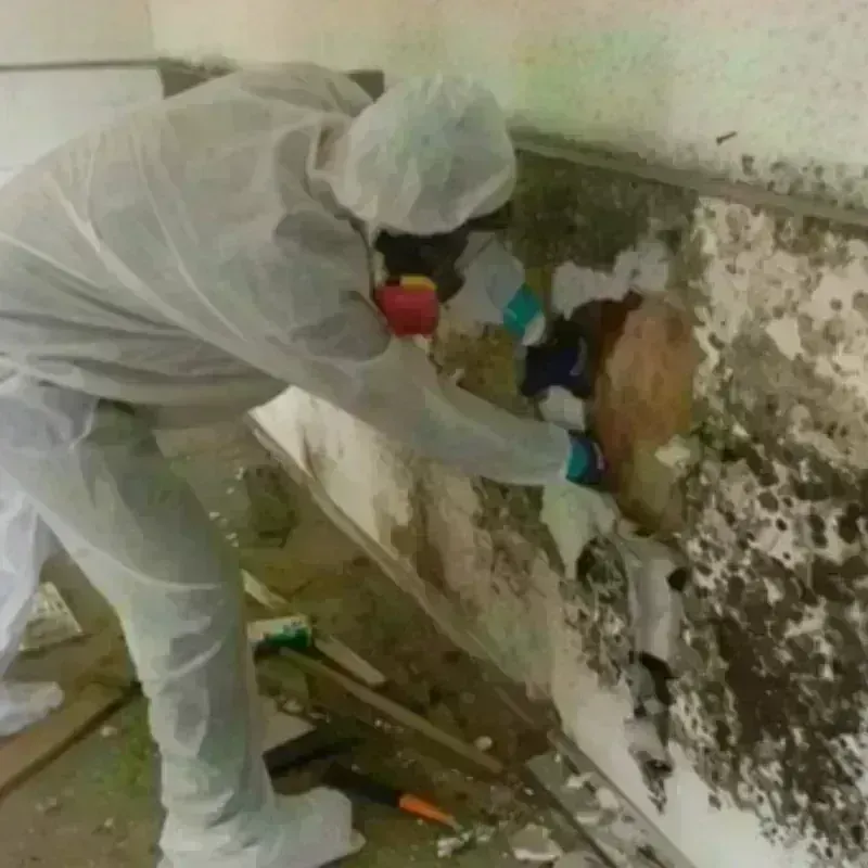 Mold Remediation and Removal in Sharpsville, PA